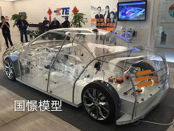 鹤峰县透明车模型